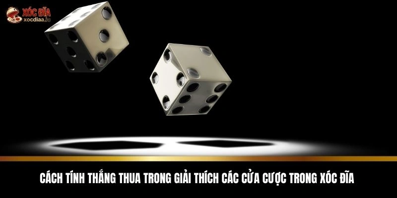 Cách tính thắng thua trong giải thích các cửa cược trong xóc đĩa