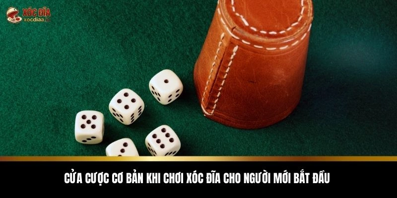 Cửa cược cơ bản khi chơi xóc đĩa cho người mới bắt đầu