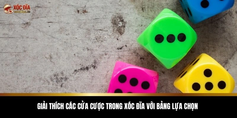 Giải thích các cửa cược trong xóc đĩa với bảng lựa chọn