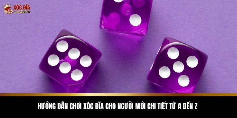 Hướng dẫn chơi xóc đĩa cho người mới