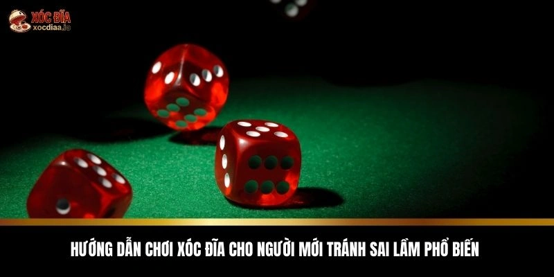 Hướng dẫn chơi xóc đĩa cho người mới tránh sai lầm phổ biến