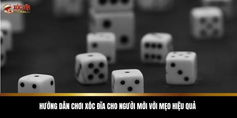 Hướng dẫn chơi xóc đĩa cho người mới với mẹo hiệu quả