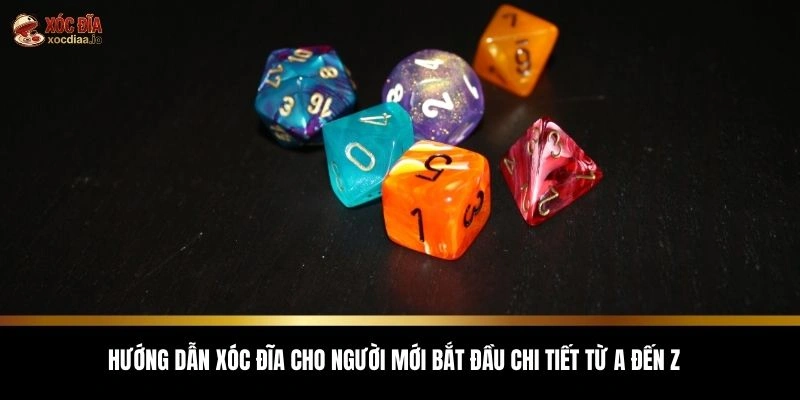 xóc đĩa cho người mới bắt đầu