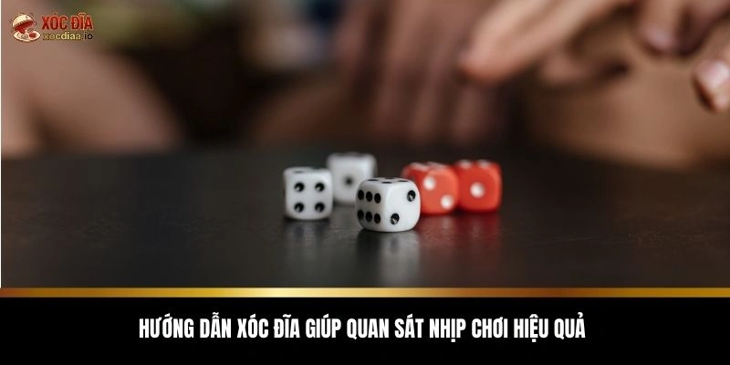 Hướng dẫn xóc đĩa giúp quan sát nhịp chơi hiệu quả
