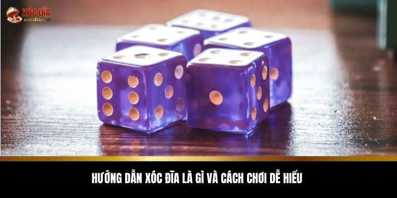 Hướng dẫn xóc đĩa là gì và cách chơi dễ hiểu