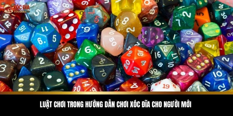 Luật chơi trong hướng dẫn chơi xóc đĩa cho người mới