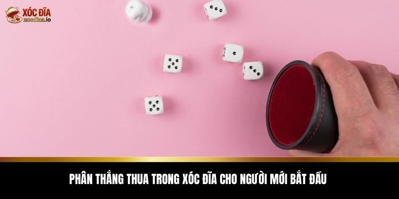 Phân thắng thua trong xóc đĩa cho người mới bắt đầu