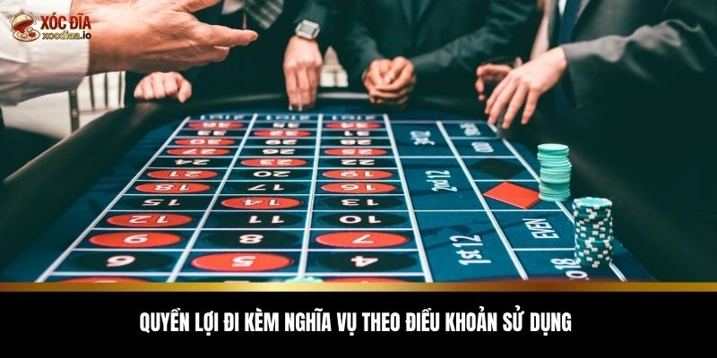 Quyền lợi đi kèm nghĩa vụ theo điều khoản sử dụng