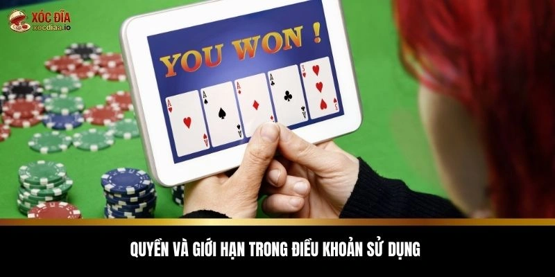 Quyền và giới hạn trong điều khoản sử dụng