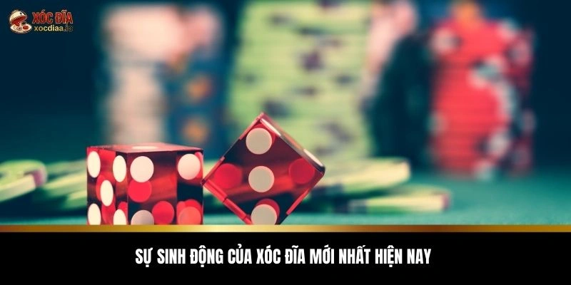 Sự sinh động của xóc đĩa mới nhất hiện nay