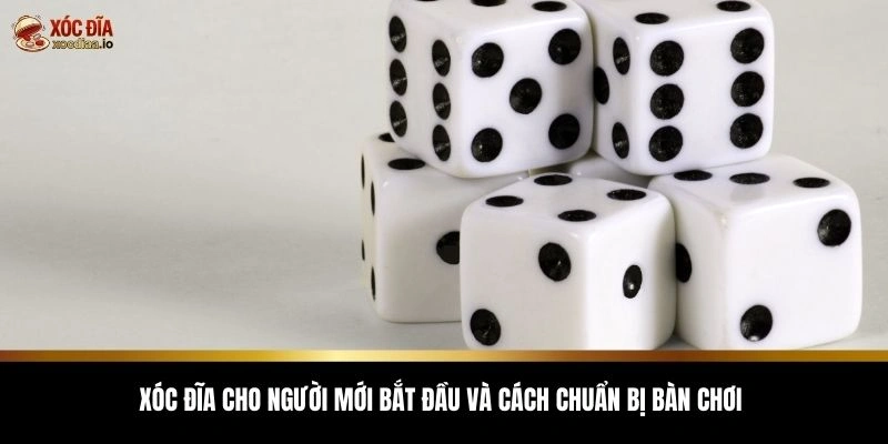 Xóc đĩa cho người mới bắt đầu và cách chuẩn bị bàn chơi