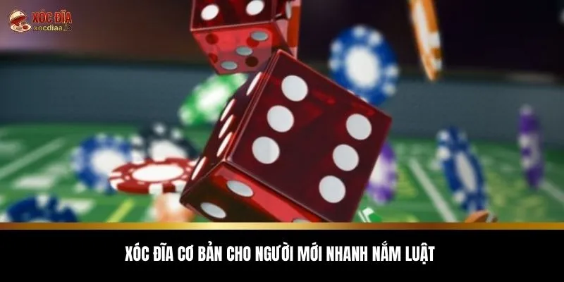 Xóc đĩa cơ bản cho người mới nhanh nắm luật